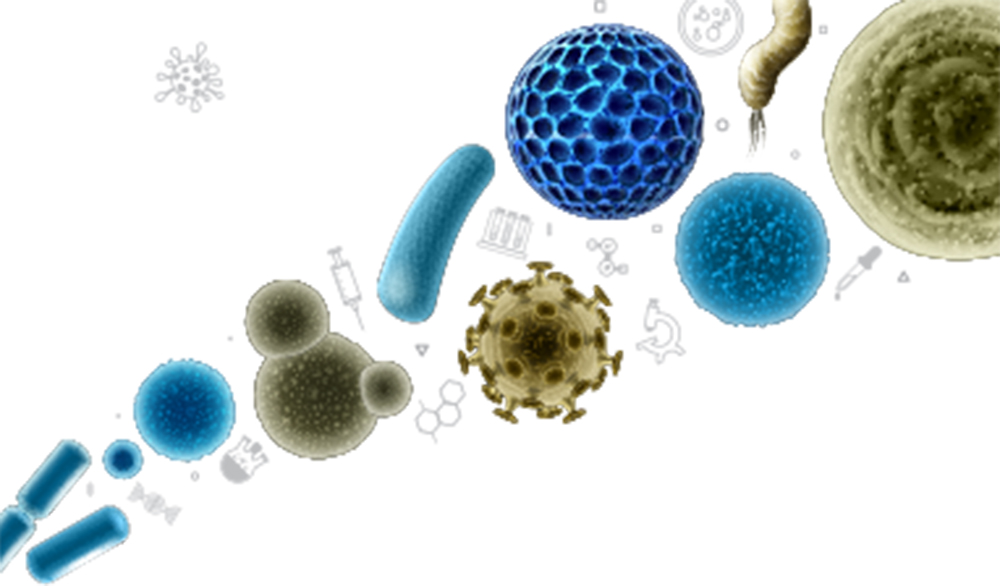 Mycoplasma Elimination in Cell Culture Life Science News Abdos